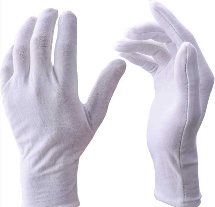 EchoNomad tweet media