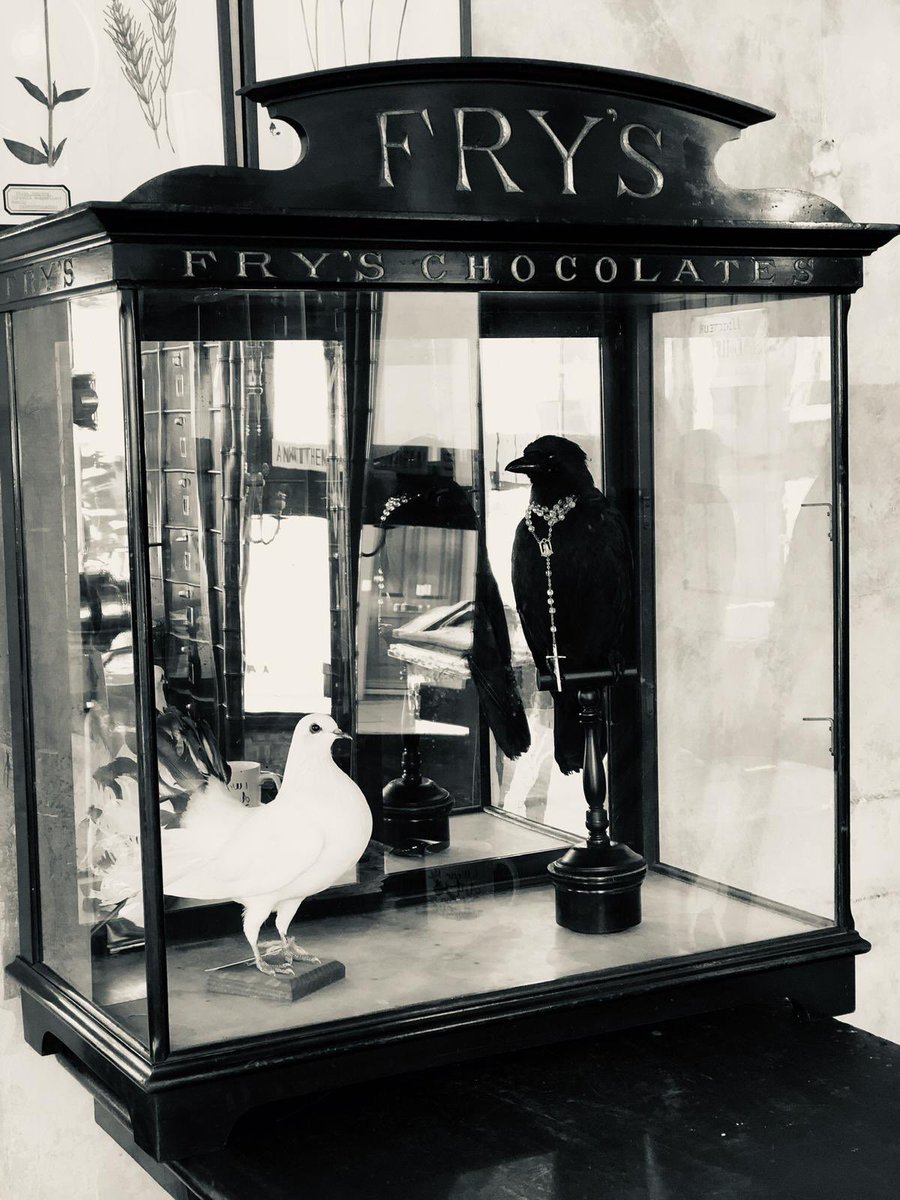 DigsBrighton's tweet photo. @DrewPritchard #salvagesundays Digs Brighton Decorative Interiors on South Coast busy on restoration projects and in-house training. Insta @DigsBrighton Web @Digsign https://t.co/9jw0oiLwCk