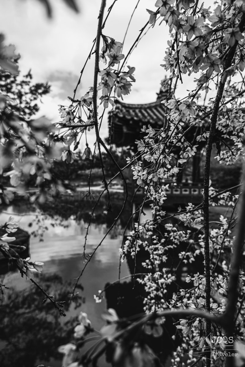 Set of #photography #Japanese themed #park in the city of #Nantes

#shrine #temple #flowers #spring #scenery #NaturePhotography #naturelovers #LoireAtlantique #France #Discovery #Instagram #Japan #setphotography #photographer #fujifilm #fujifilm_xseries #fujifilmxt30