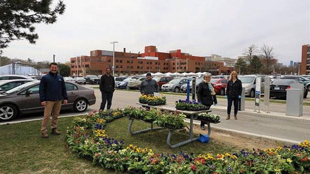 It might not feel like spring, but some deserving people are still receiving beautiful bundles of flowers. On April 24, the City of Mississauga announced that it's donating approximately 1,500 pansies, ranunculus and primrose as a gesture of thanks  #ranun bit.ly/3b5HrmN