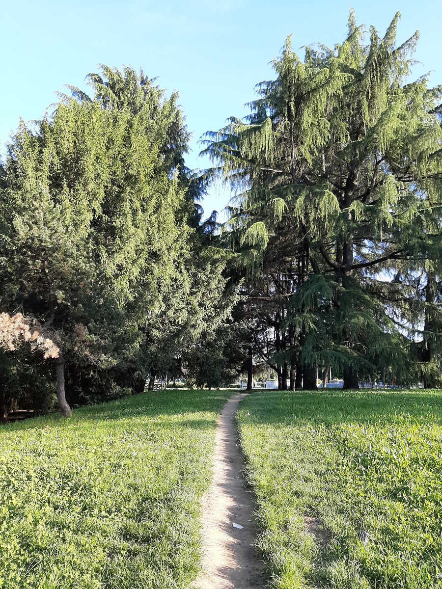 LoveBtsVJK1's tweet photo. Il profumo dei pratiiii😭😭#covid #Fase2 #natura #vita #contentezza #sole https://t.co/1yvq7XREIm
