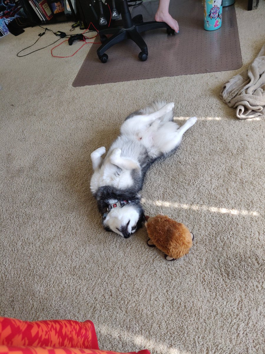 Zack Houghton tweet media