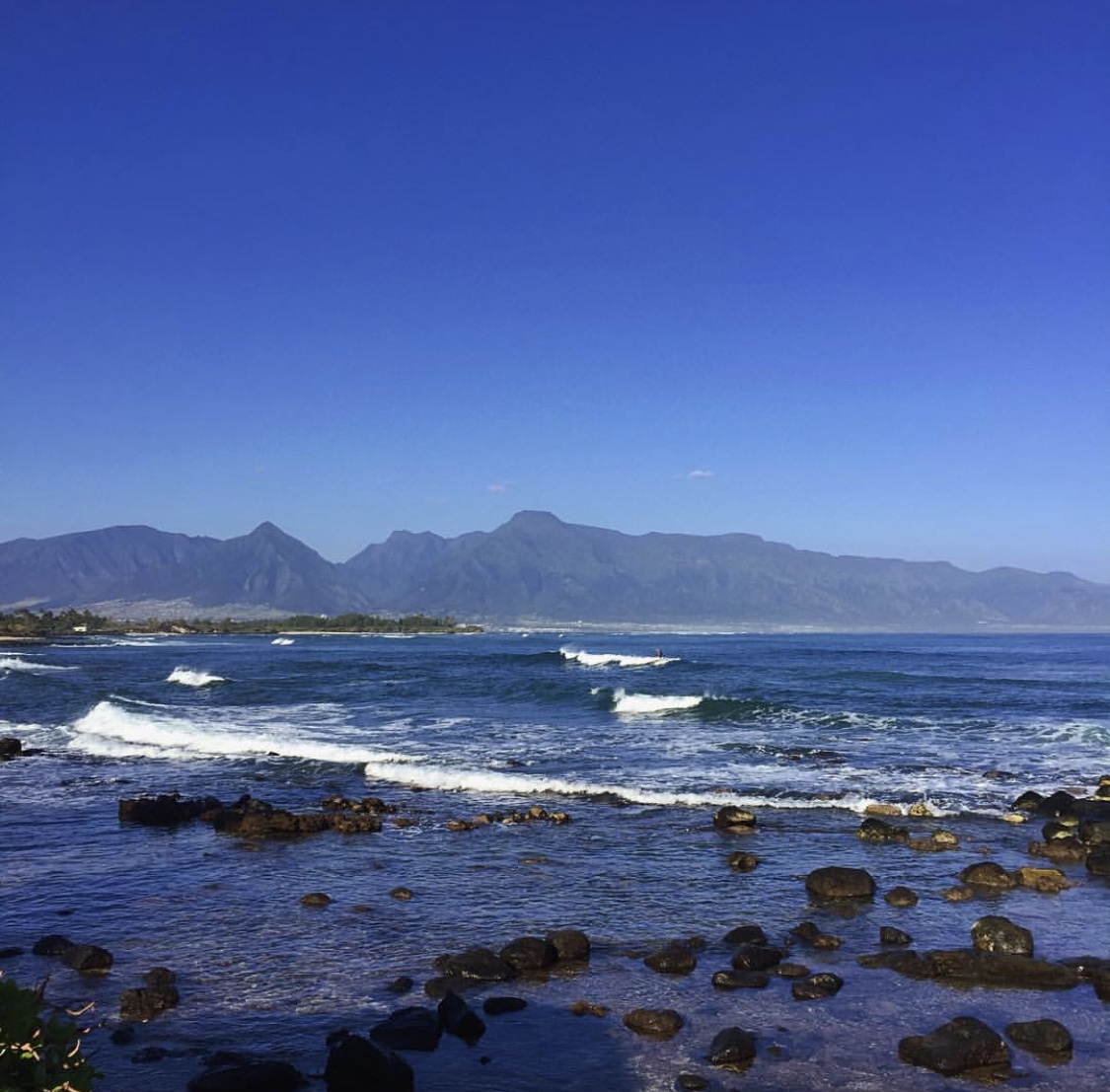 Our MOCMI team hopes you had a restful and enjoyable weekend! Don't forget to mālama ka ʻāina a me ke kai (care for the land and sea).