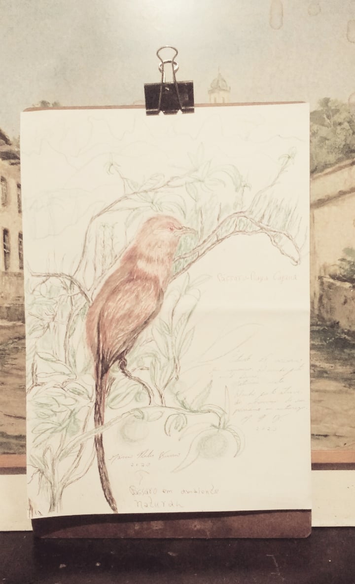 artemathu's tweet photo. #bird #piayacayana #draw #drawing #sketch #arte #artonpaper#pendrawing #freehanddrawing #simpledrawing #handdrawing freedraw #illustrationart #illustration https://t.co/zL8NOXSPwH