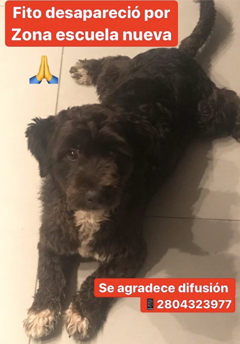 Nos ayudan c rtw?? Gracias 💜