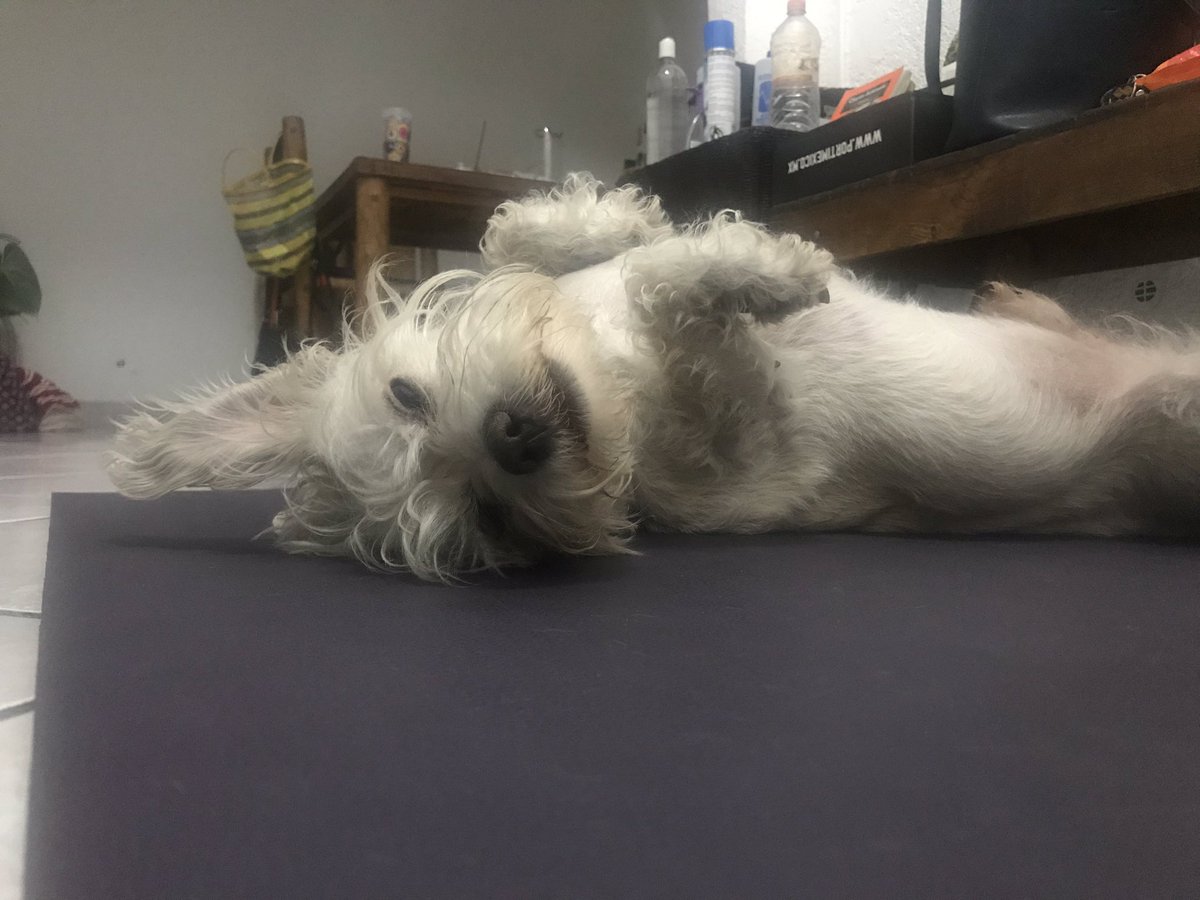 Don Valente tweet media