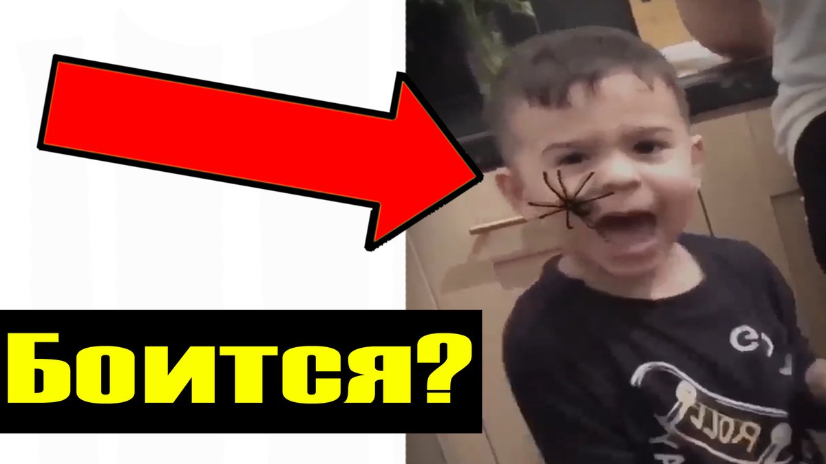 Лучшие пранки. Пранки над людьми смешные. угарные пранки над людьми. зарубежные смешные пранки над людьми.