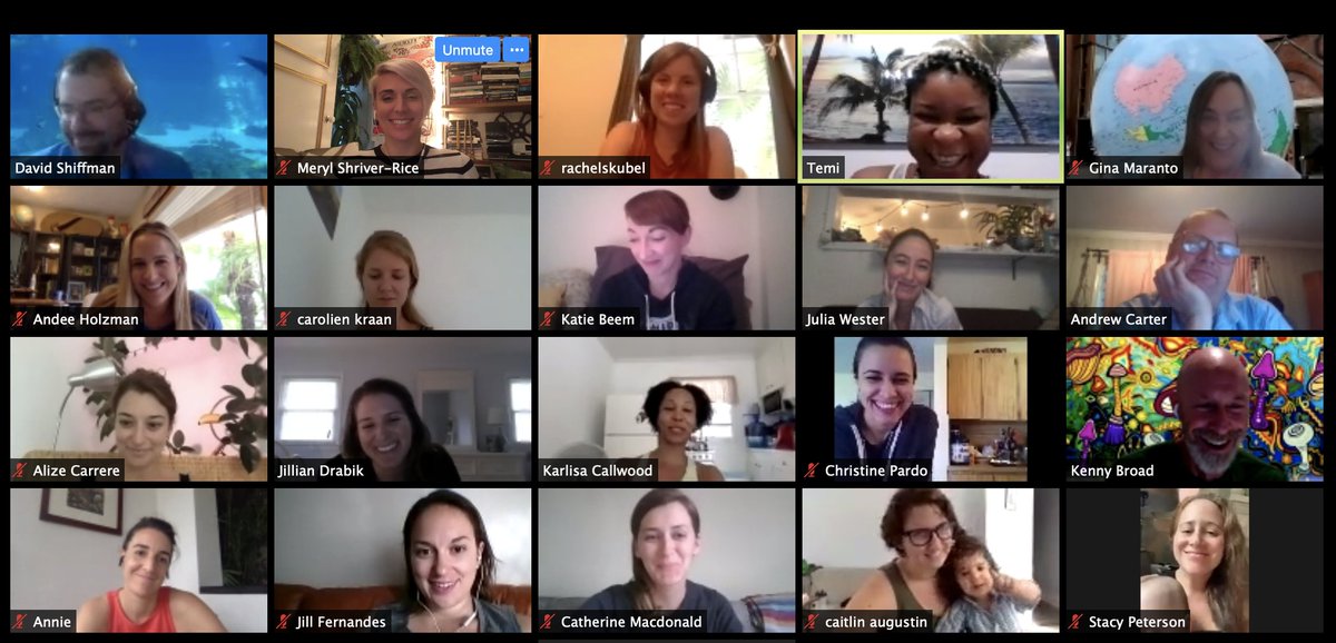 abesscenter's tweet photo. Abess Center denizens and current PhDs zoomed with farflung Abess alums to share some jollies last week. Thanks to @WhySharksMatter for organizing! Great to see everyone--along with the next gen of Abess scholars, the babies and toddlers! https://t.co/eojSA3z8a9
