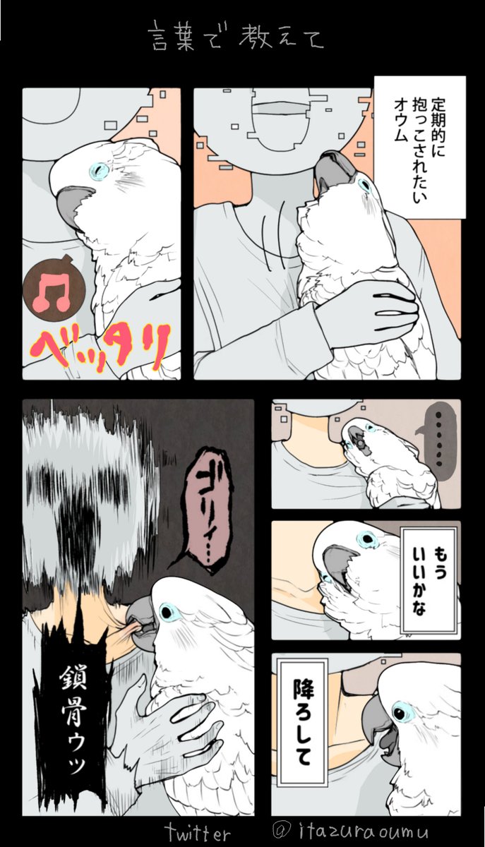 他にも色々やりようがあったじゃないですか
#漫画#オウムは今日も考えている 