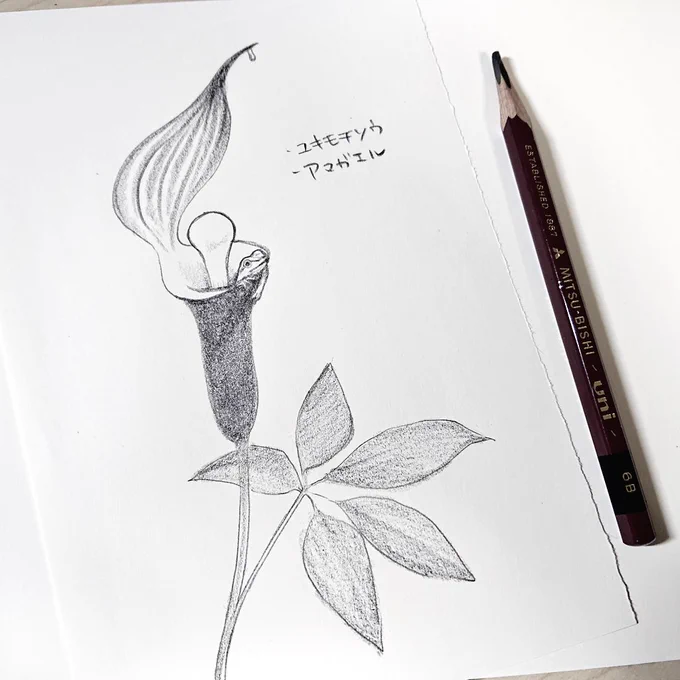 ありがとうございます!
いくつかいただきました。 