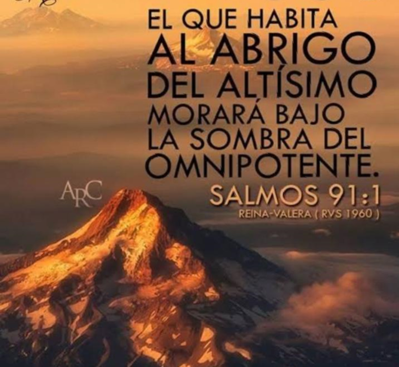 fdavalos197's tweet photo. El te librará del lazo del cazador, De la peste destructora. 
Salmos 91:3
#rpsp #PrimeroDios https://t.co/nFUioojc2c
