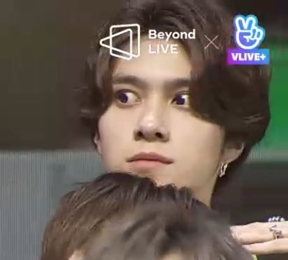 hendery as ragdolls 🐱 tweet media