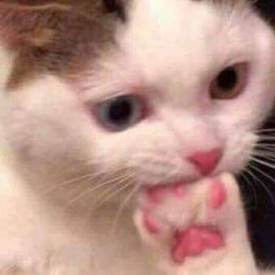 SUPER SUGA ⁷ tweet media