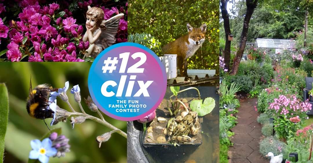 Retweet if you want to have fun and win prizes? Enter our #12clix competition by going on a garden safari and capturing something interesting in a photo. 

Check out some of the entries we have had so far below and enter your image here: bit.ly/3aKz3sB