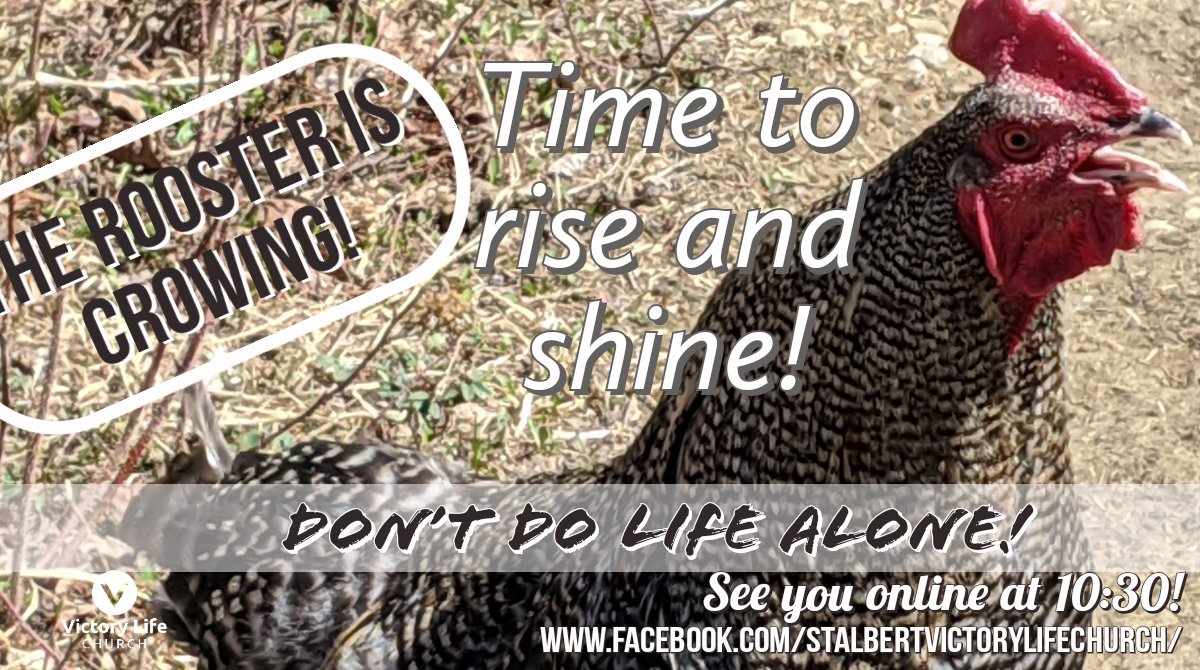 vlc_stalbert's tweet photo. https://t.co/VqqFUNA5Qw
