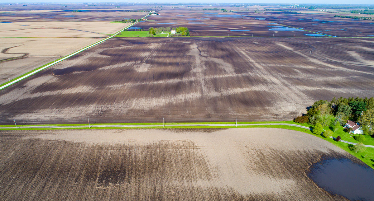 2.5+ inches of rain fell Saturday night between Dalton City and La Place.  On Friday, there was evidence that my ancestors had invested in clay drainage tile to make the land more productive. #plant2020