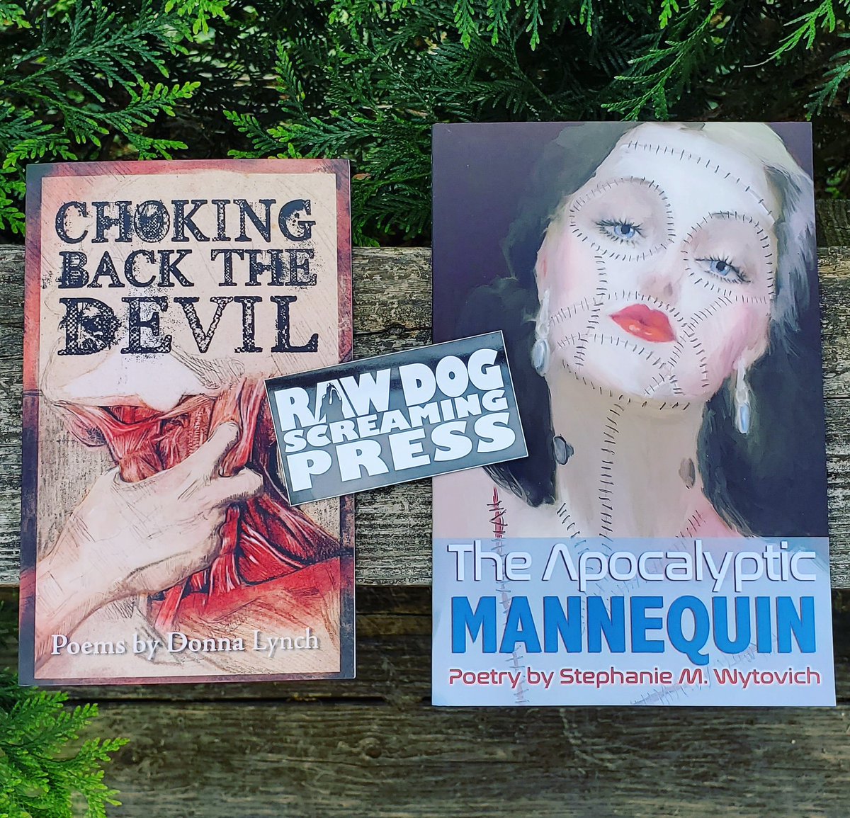 Yesterday's poetry #bookmail from @RDSPress. Choking Back the Devil by @GeekLioness & The Apocalyptic Mannequin by @SWytovich. I bought these as part of Raw Dogs 2 for 1 sale. Excited to read some more #horrorpoetry.