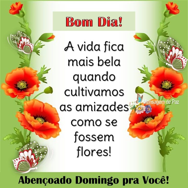 Vera Lúcia de Campos on Twitter: Vera Lúcia de Campos on Twitter: