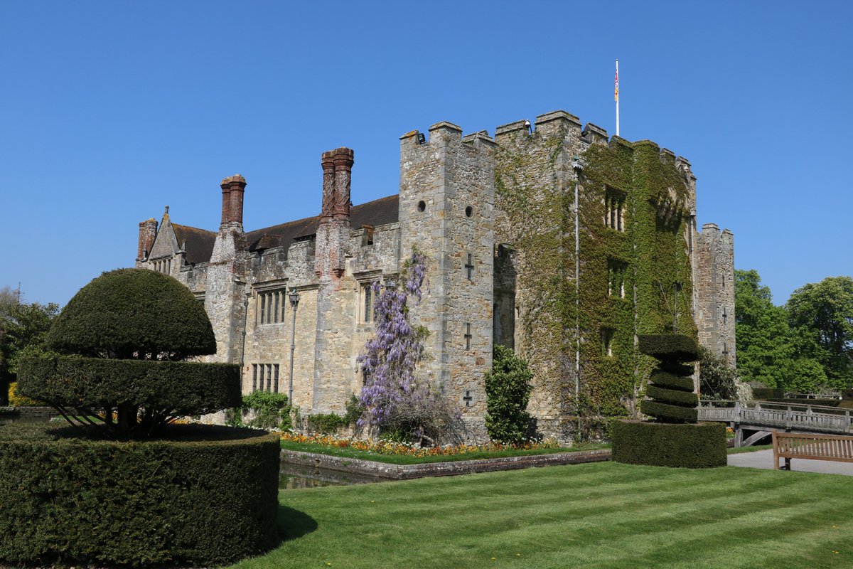 hevercastle's tweet photo. Hever Castle is coming down with Wisteria Hysteria π #HeverCastle #Wisteria #WisteriaHysteria #GrowThisSpring https://t.co/RpqVRFgnV6