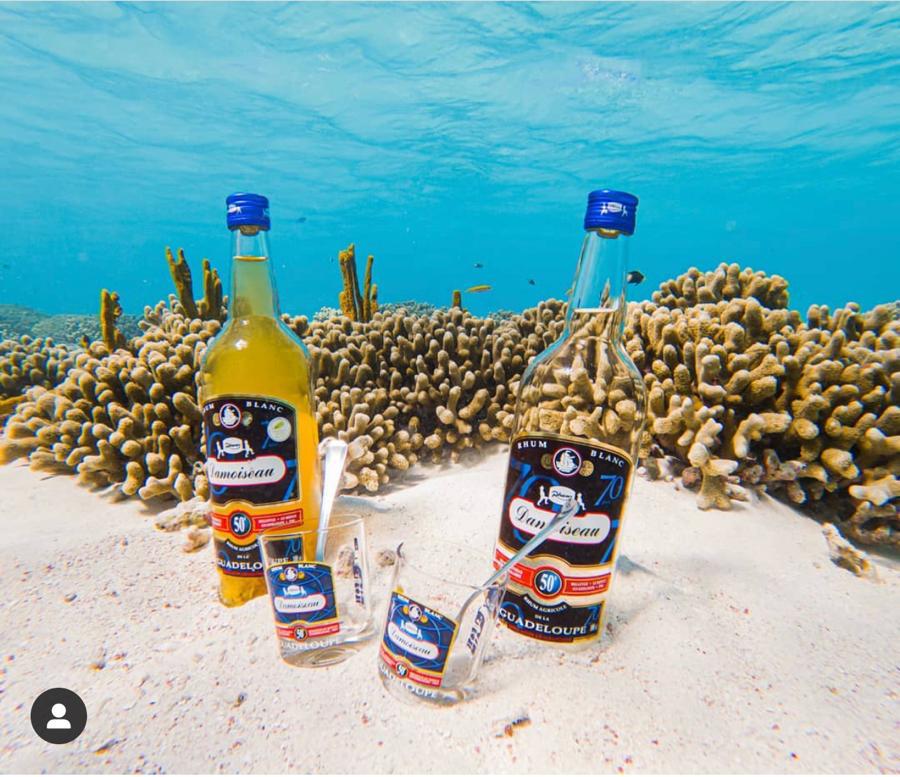 Baignade interdite, sauf pour le rhum et punch