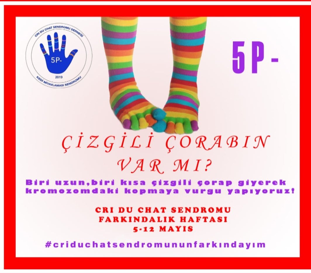 criduchat_tr's tweet photo. #criduchatsendromununfarkındayım diyorsan cizgili çorabını giy, biri uzun biri kısa fotoğrafını çekip desteğini sosyal medyada göster. @criduchatdernegi #criduchat #sydrome #EngelliYokturEngelVardır #engelolmadestekol #engellilerhaftası #criduchatawarenessweek https://t.co/L5pL3OBn9k