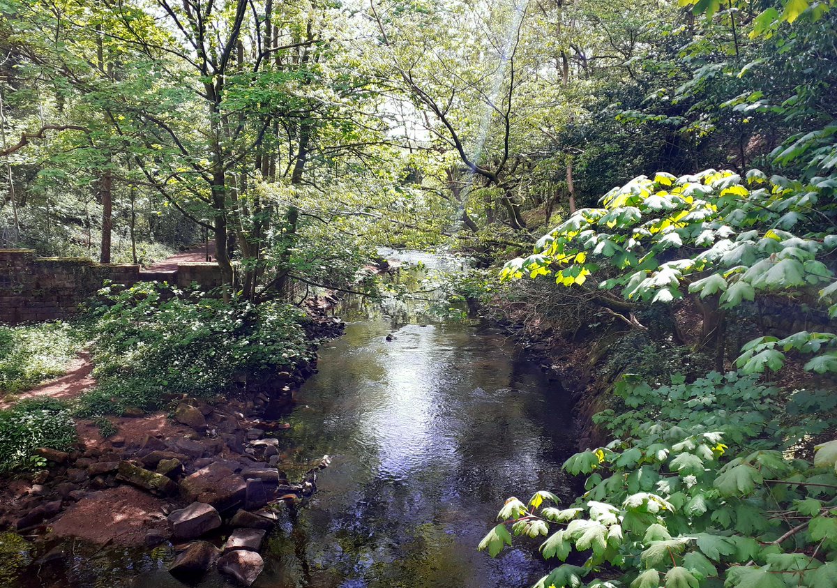 Debmoz's tweet photo. Very grateful to live where we do #peaceful #alittlebitofnormal #dailystroll #dayoff #charlesworth https://t.co/qjEF8NLhh1