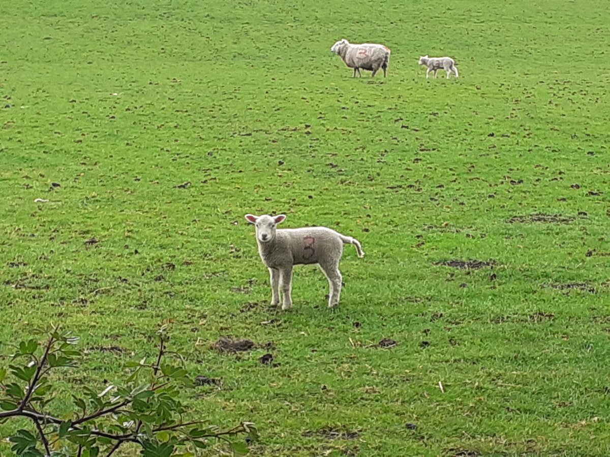 Very grateful to live where we do #peaceful #alittlebitofnormal #dailystroll #dayoff #charlesworth