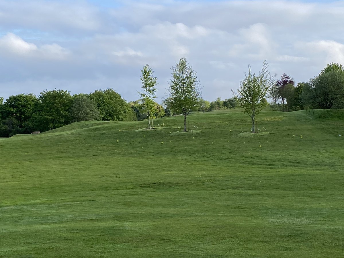EGCgreens's tweet photo. The new trees behind greens 2 &amp; 4 and right of the 3rd fairway doing well. The wildflowers also loving the rest the course is getting. https://t.co/JgKSgeE0aj