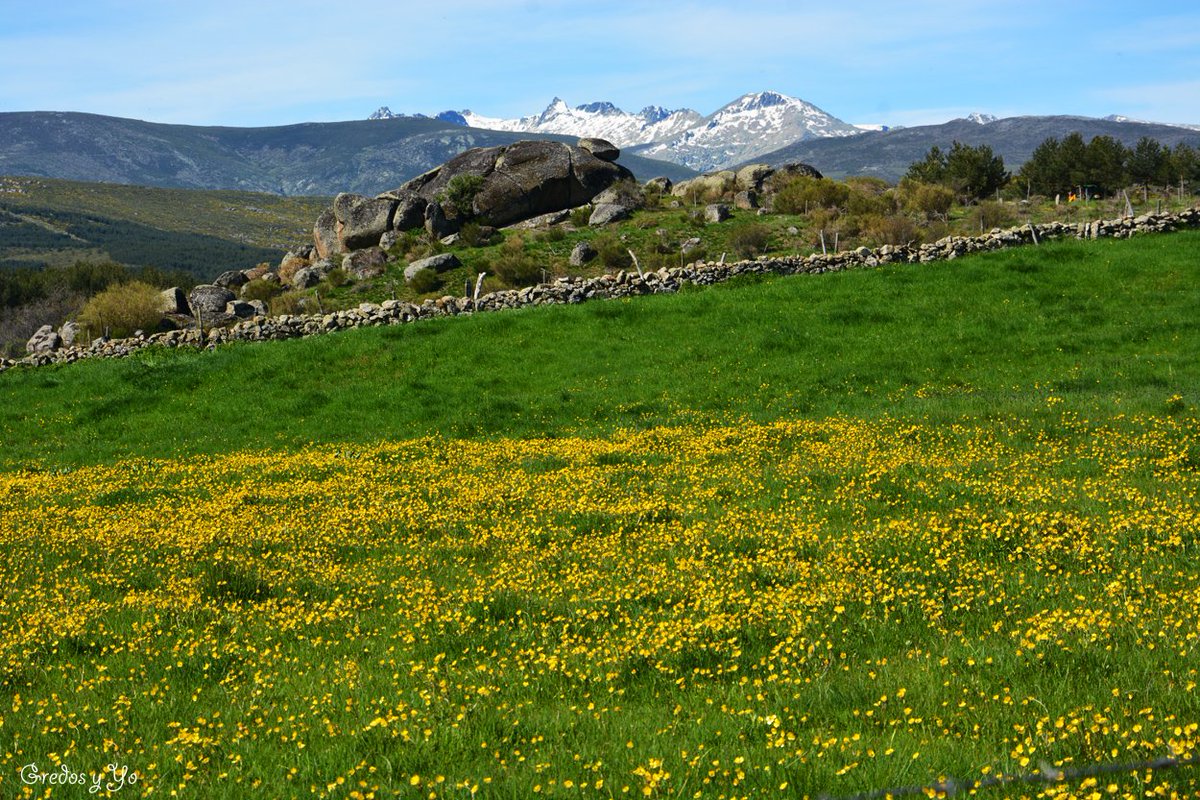 nuriajimenezch's tweet photo. Ya queda menos... Ánimo!!! 💪👏🌞🌷🌄🌍 — en #HoyosdelEspino #avila #gredos @CyLesVida @tiempobrasero https://t.co/IpDClU9qtY