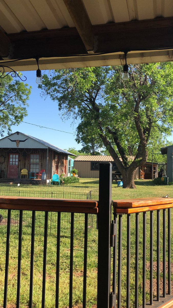 tami_land's tweet photo. It’s a beautiful morning! https://t.co/RxVIGxvl9G
