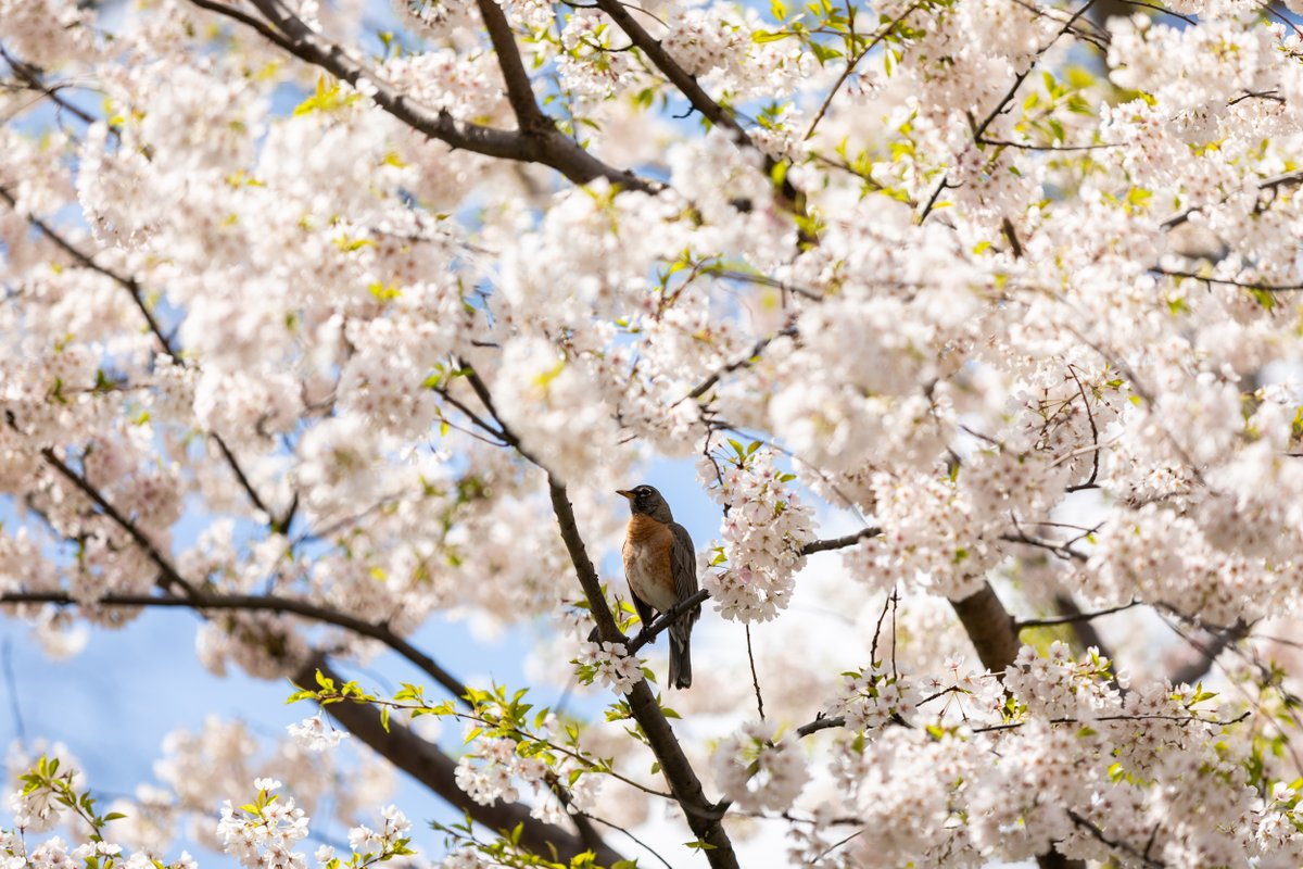 You are worth it. If you need someone to talk to, call 311 to be connected to anonymous counseling over the phone. If you are having suicidal thoughts, please call or text <a href="/samaritans/">Samaritans</a> at 877-870-4673.