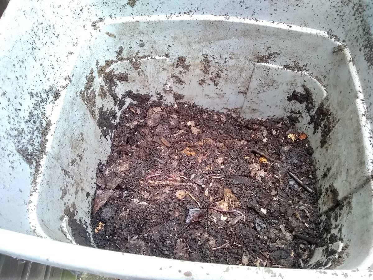 al70morley's tweet photo. @EMCommunityRail @weareEMR @EastMidRailway For sustainable veg growing make your own compost from your veg peelings. Been emptying rest of my home made compost today, giving it a good sieve, potting on some beans, then the worms &amp; what hadn't yet decomposed goes back in the compost bin for next time #EMRgardening https://t.co/nenzBXe8ST