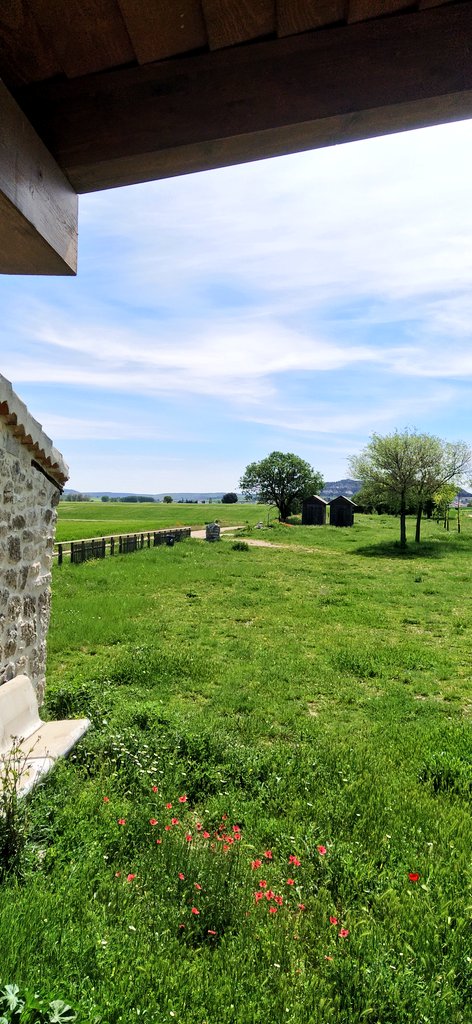 LuciaaRE_'s tweet photo. Baltanás (Palencia) 💚 https://t.co/pmZZGwmx9R