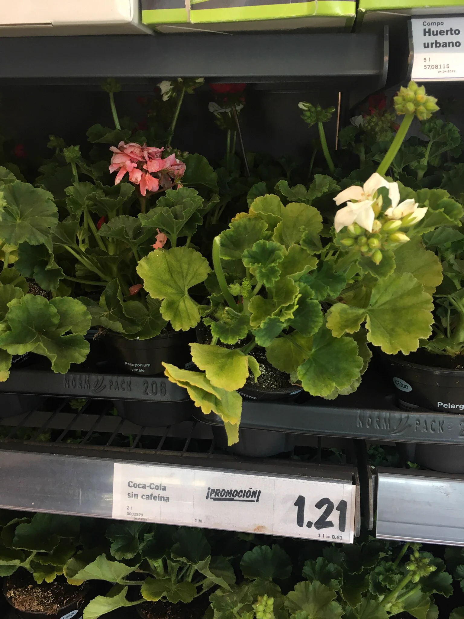 @yaegaki カフェインなしコカコーラを
外野より投稿させて戴きます。 