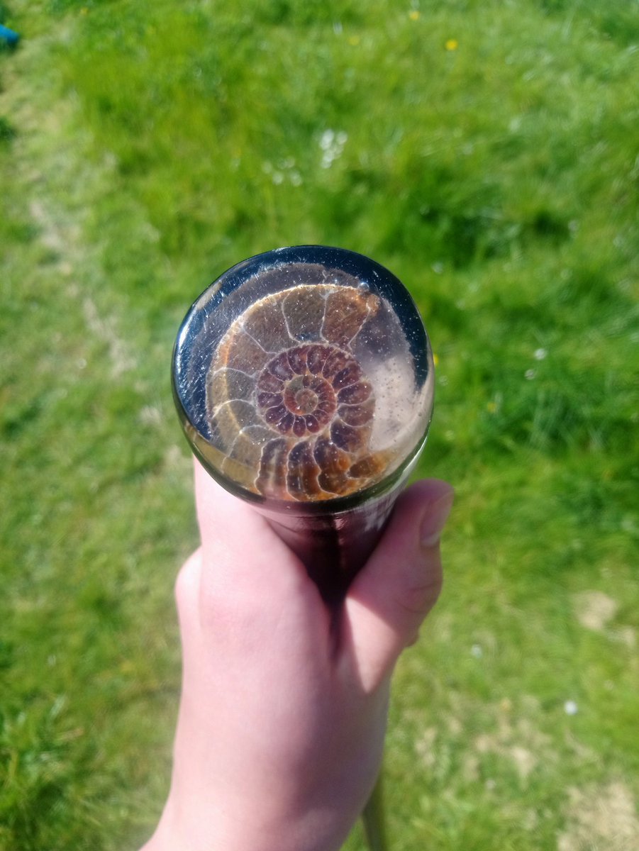 marniemeredith's tweet photo. Feeling very loved after a neighbour made me this personal walking stick for my socially distanced birthday! Hand crafted from Hazel and cows horn with an ammonite sealed in its handle. #SocialDistancing https://t.co/NIjmlc9QrS