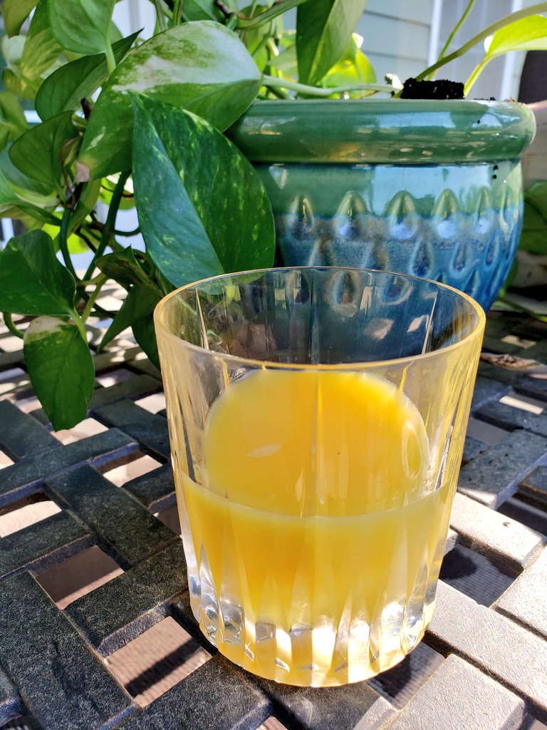 wakullawriter's tweet photo. May 4 is National OJ Day! To celebrate, I'm drinking #Florida grown juice. #NOJD #FloridaCitrus #FreshFromFlorida #FloridaFresh @FDACS https://t.co/dooUwNl6ox
