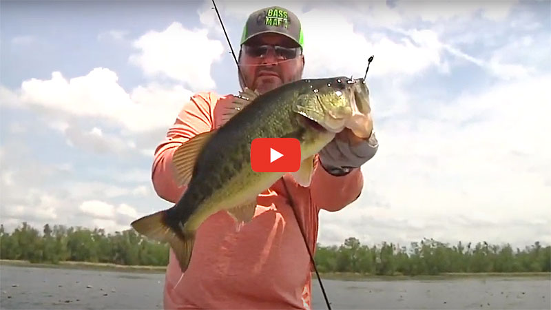 LAhuntnfish's tweet photo. Greg Hackney shows his favorite way to target bass by drifting across grass flats -- #bass #bassfishing #fishing #GregHackney #sportsmantv https://t.co/9ucAbgklhW https://t.co/eM34oCWvtS