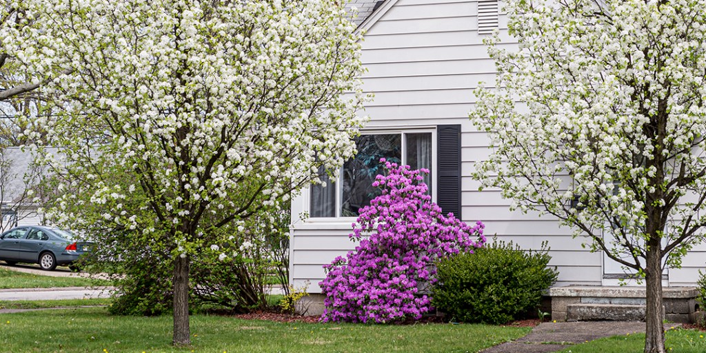 DaveyTree's tweet photo. If you're looking for a great way to relieve #stress, try spending time around trees. Studies have shown that those living in urban neighborhoods with a sizeable tree canopy suffer less from depression, anxiety and stress. #TreeRX π³π https://t.co/tRlSDzCS6u