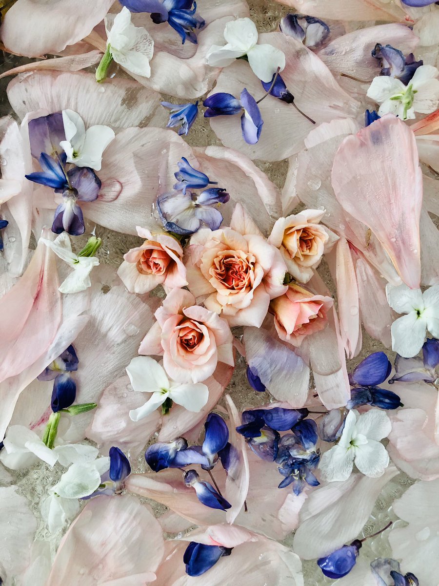 alexcrabtreepr's tweet photo. Some of my floral flatlays!
#interiorstyling #interiorpr #kitchenpr https://t.co/vXRMAfrMMC