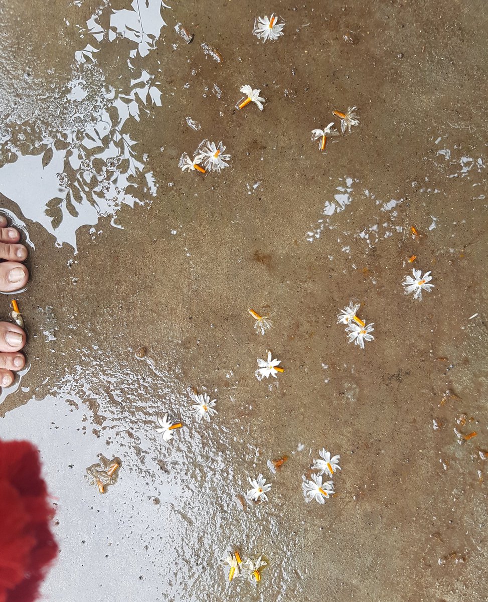 KeyaSMamma's tweet photo. My feet are always happy. 😍
#Happyfeetchallenge #happyfeet https://t.co/BE1U8B1EDO