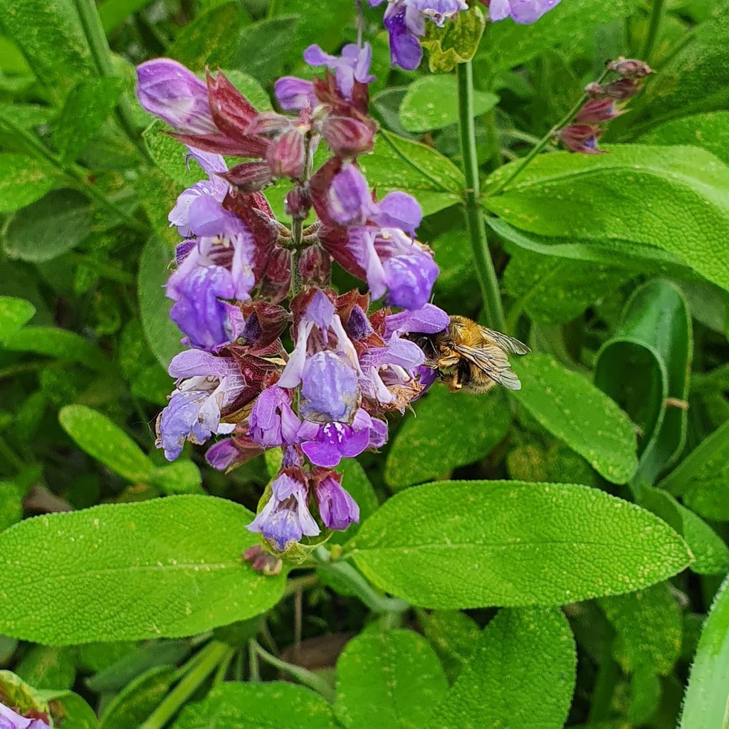 Mauricio Díaz Orlich tweet media