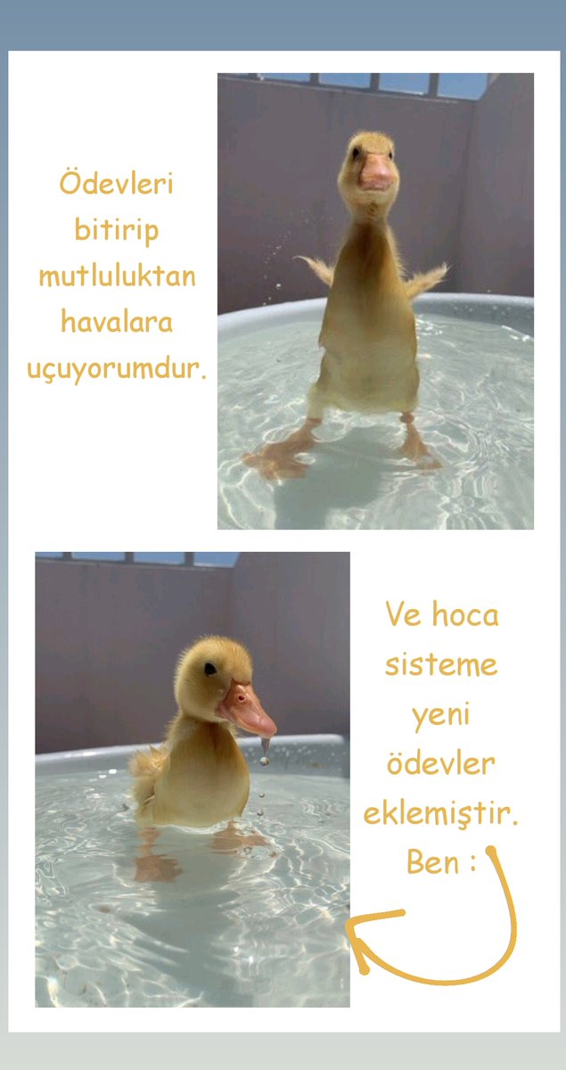 kbrakilicx's tweet image. Klasik ben ektedir. #vizeler #finaller #ödevler #aü