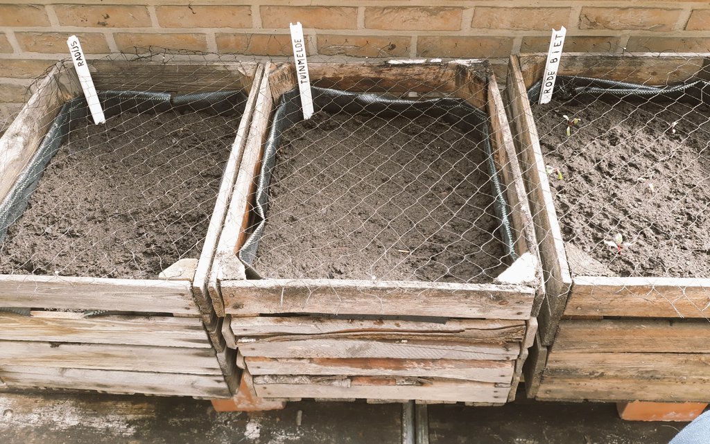 eevf's tweet photo. Groentjes!!! Incl kattenwering 😉 #terrastuin https://t.co/JKlePZOLa3