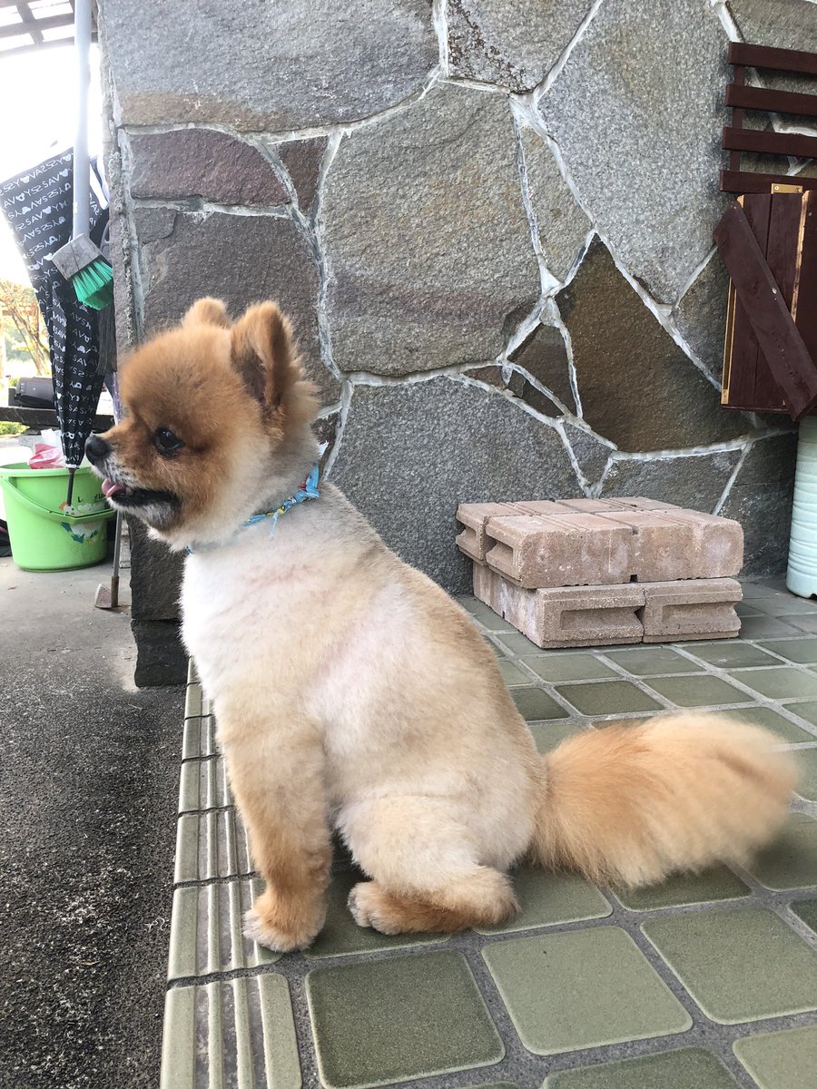 カット前
　　　　　▶︎▶︎▶︎▶︎▶︎▶︎▶︎▶︎▶︎
　　　　　　　　　　　　　カット後