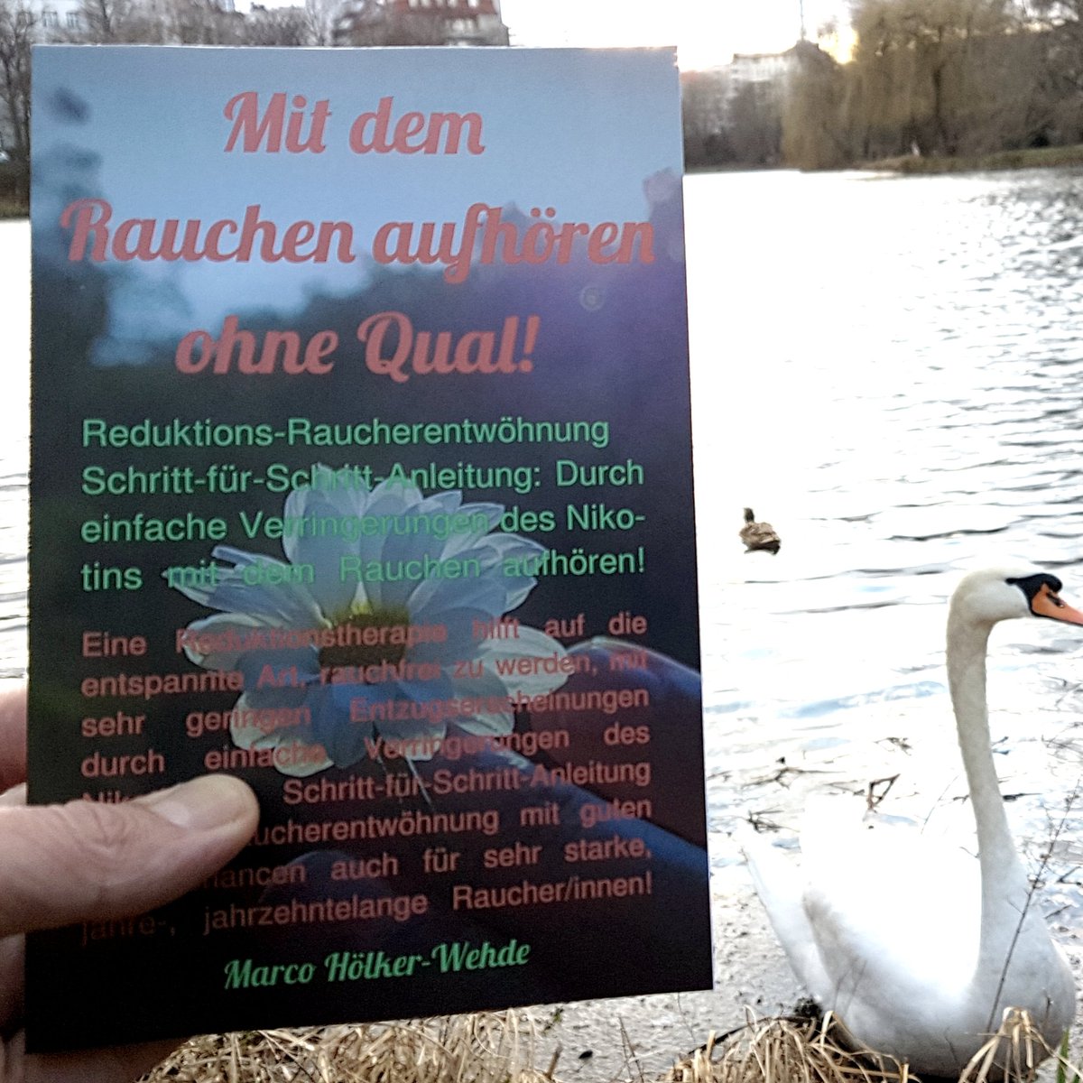 DigitalSoulCom's tweet photo. Reduktions-#Raucherentwöhnung Schritt-für-Schritt-Anleitung: Durch einfache Verringerungen des Nikotins mit dem #Rauchenaufhören! Eine Reduktionstherapie hilft auf die entspannte Art, #rauchfrei zu werden, mit sehr geringen #Entzugserscheinungen! https://t.co/4GvzzqTwMq https://t.co/GxnAgOEnb2