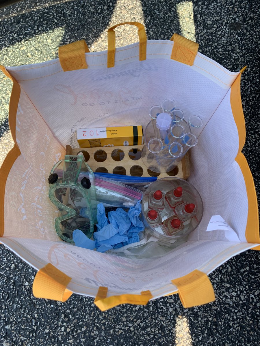 The Lab Equipment and PPE Fairy is making deliveries around Richmond today so IB students can collect data for their chemistry Extended Essays at home. So good to see their faces (from a safe distance)!🧪
