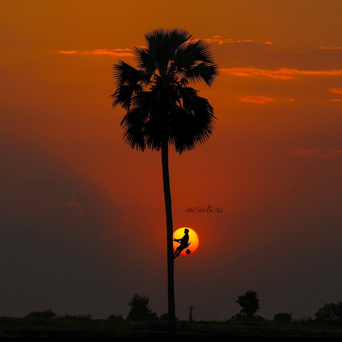 AkhilShatagni's tweet photo. #toddytapper with sunset
#CapturedOnCanon
#Sunset #Sun #CanonPhotography #PhotoOfTheDay #Photography #silhouette https://t.co/k0cUoaQNaN