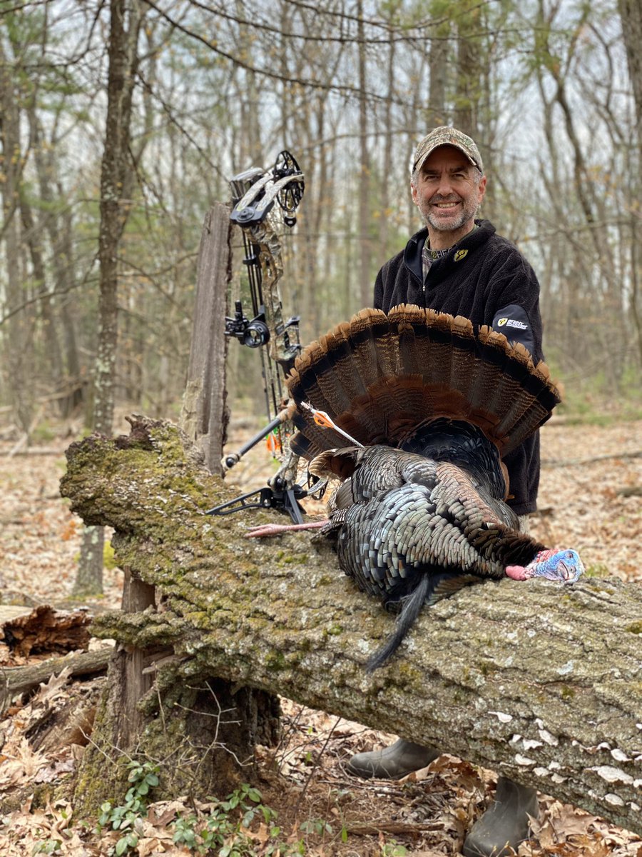 After seven straight days of 3 a.m. wake ups to hunt mornings in Massachusetts and New Hampshire, I finally arrowed a nice “Tom” today. 20 lbs. 9” beard.  #BowHuntTurkeys #BowHunting