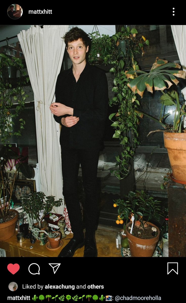 VSGeminixx's tweet image. Gato demais no meio de tanto verde 😻 #MattHitt