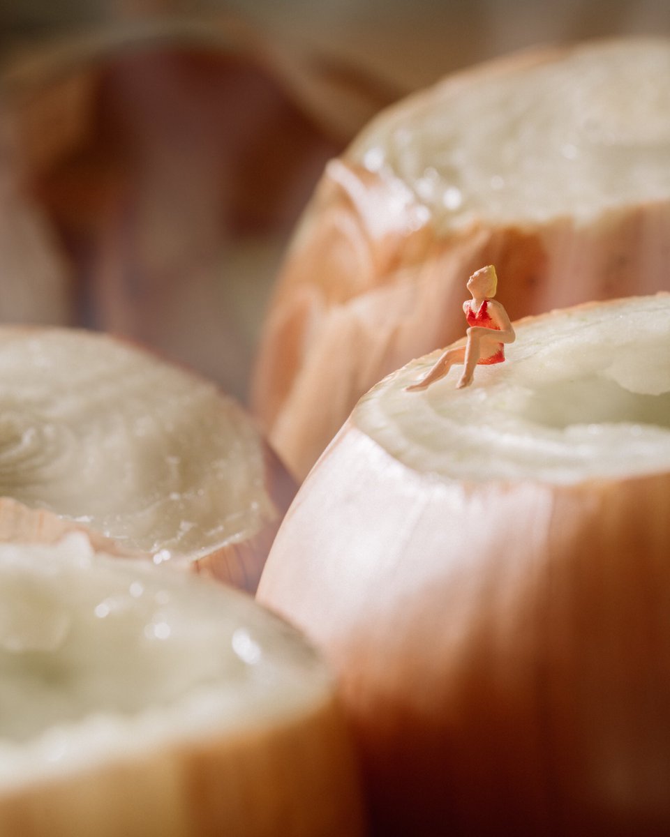 erin sullivan erin outdoors on Erin Sullivan On Twitter Onion Springs